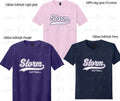 Storm Softball Gildan softstyle shirt- classic logo