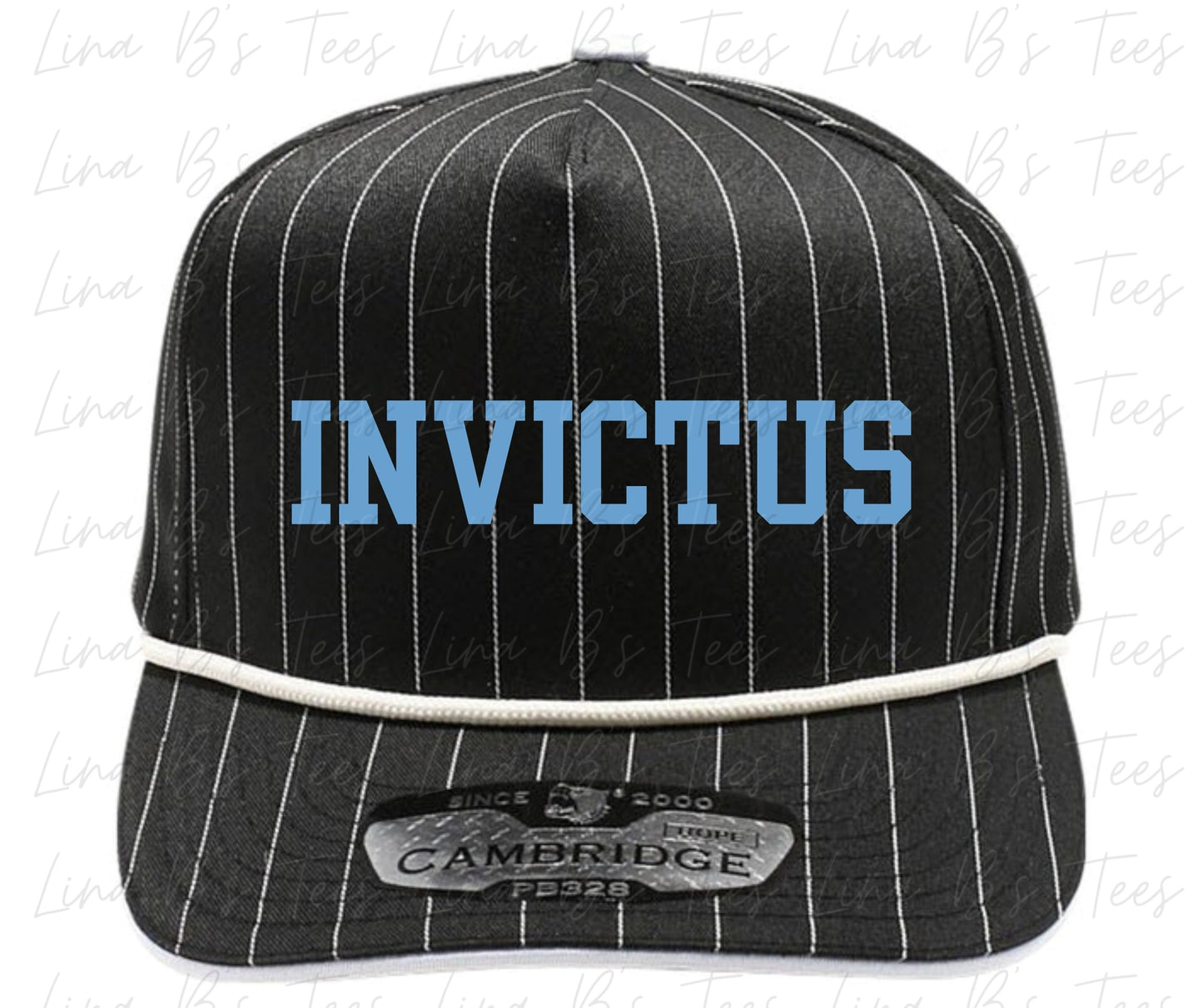 2034 Invictus Pinstripe Hat - Embroidered 3d Puff