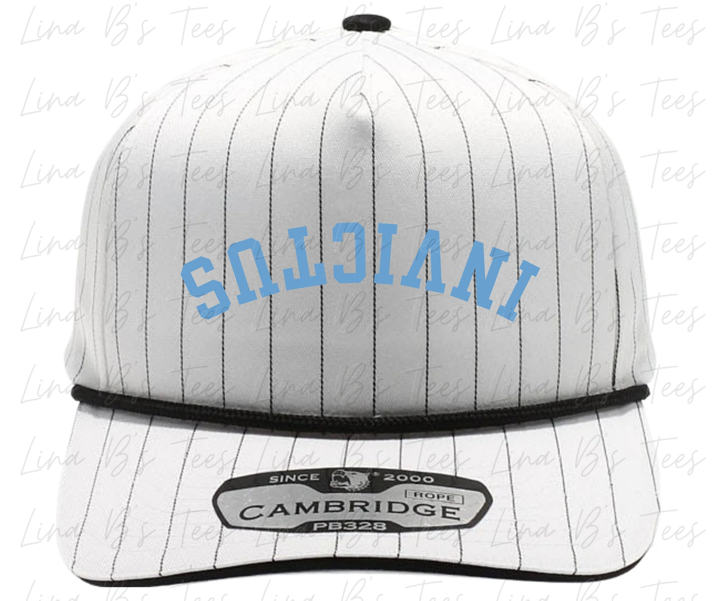 2034 Invictus Pinstripe Hat - Embroidered 3d Puff