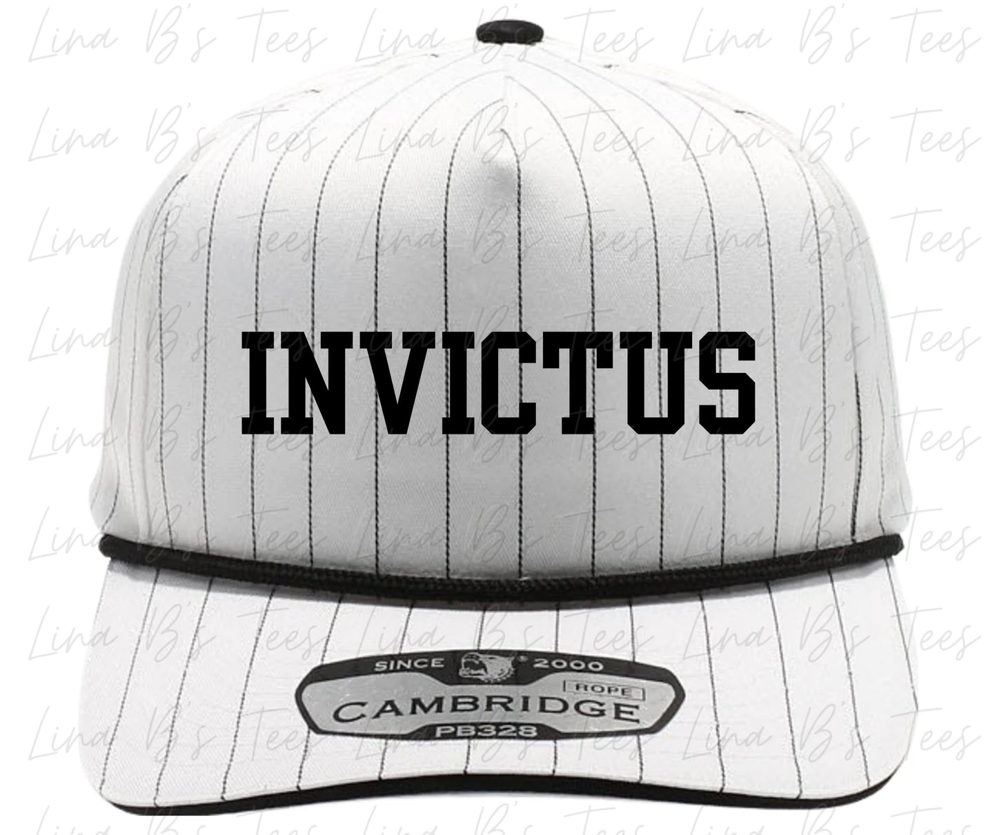 2034 Invictus Pinstripe Hat - Embroidered 3d Puff