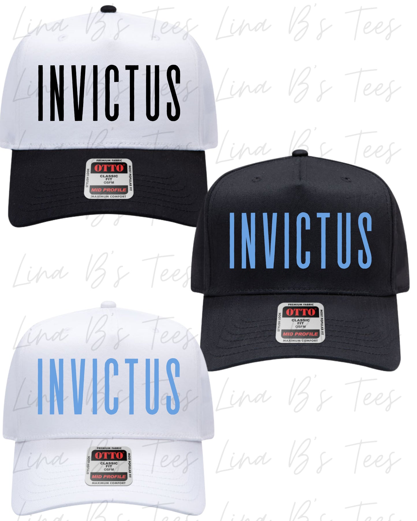 Invictus 2033-Birts- Embroidered hat (Design1)