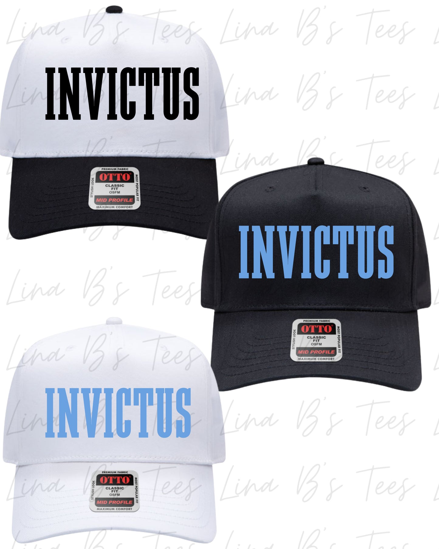 Invictus 2033-Birts- Embroidered hat (Design2)