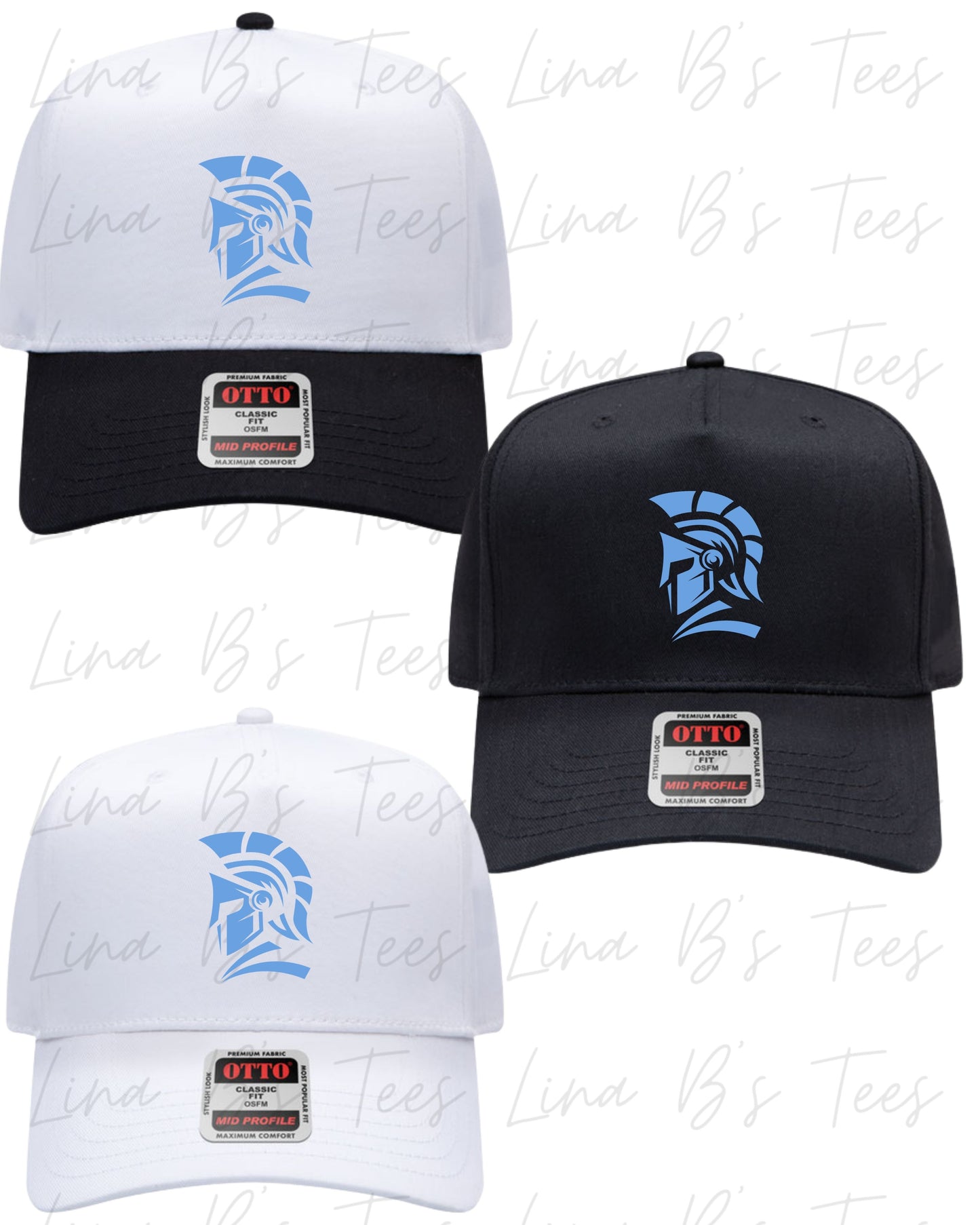 Invictus 2033-Birts- Embroidered hat (Design4)