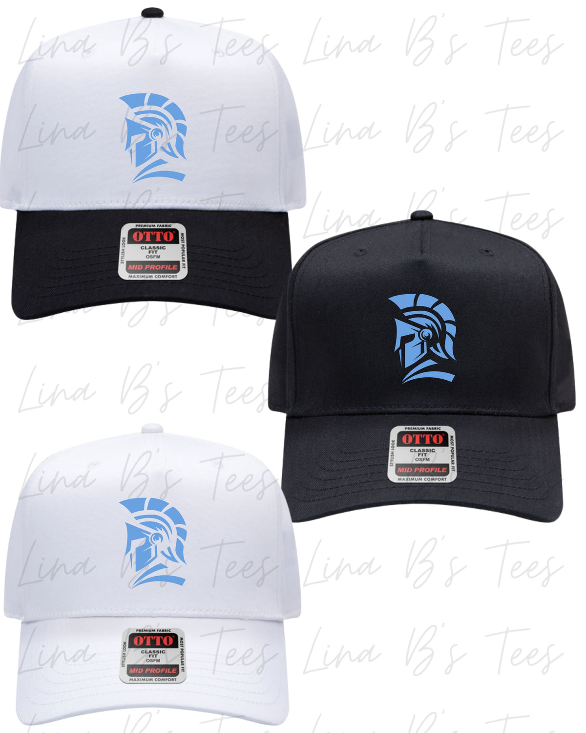 Invictus 2033-Birts- Embroidered hat (Design4)