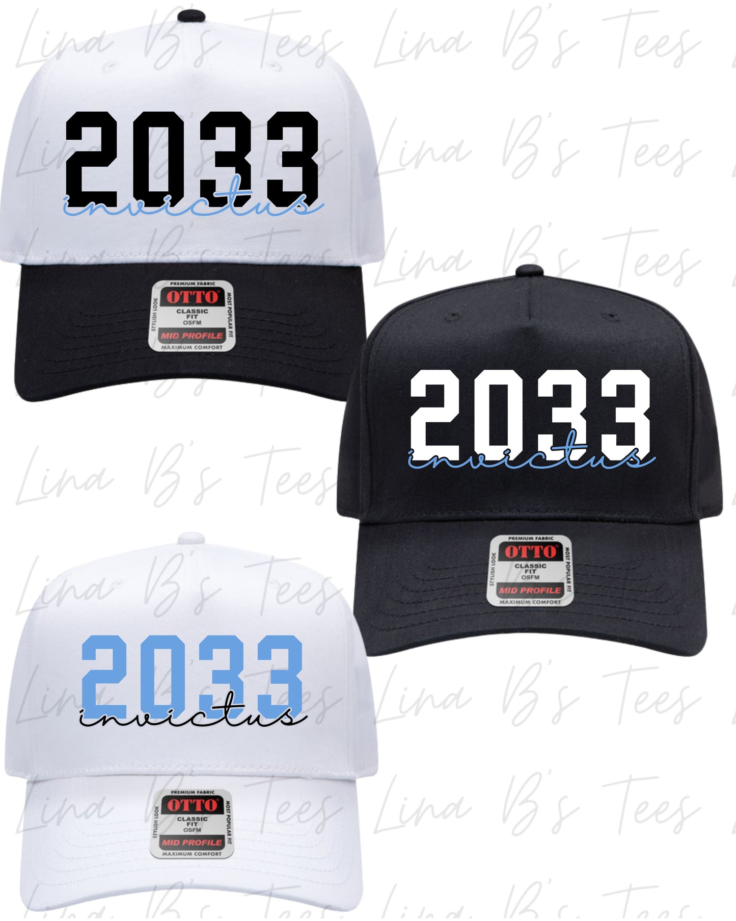 Invictus 2033-Birts- Embroidered hat (Design5)