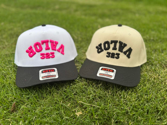 Valor 3d Puff Embroidery hat
